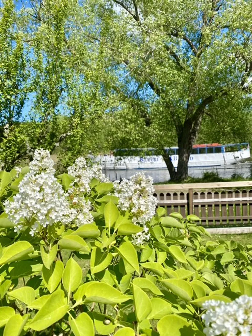 Fritidshus, Morotsvägen 46, Kolonistuga Ådala koloniområde, Johannelund, Linköping