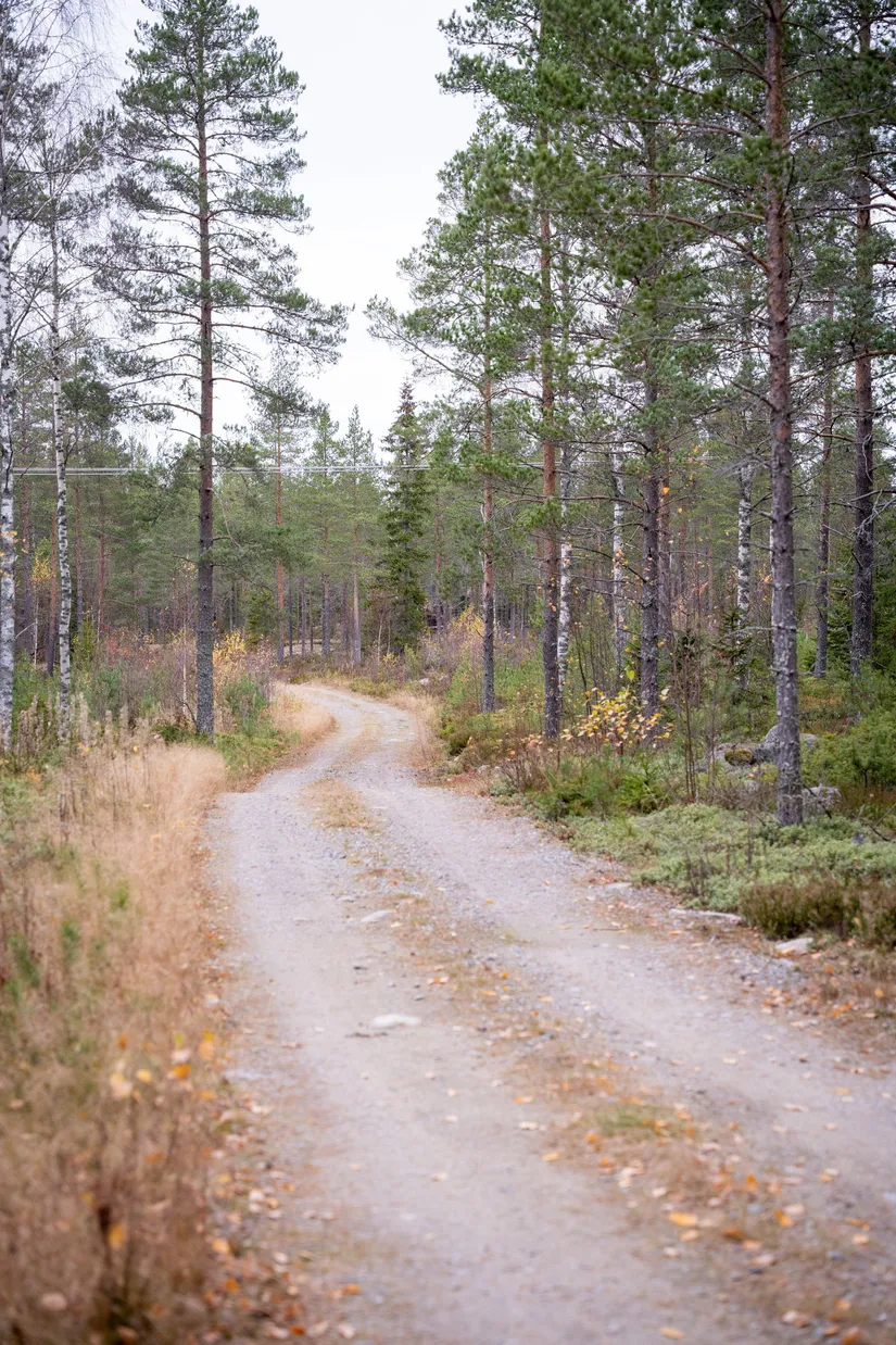 Gård/Skog, Örnsköldsvik Könsa 2:5, Örnsköldsvik