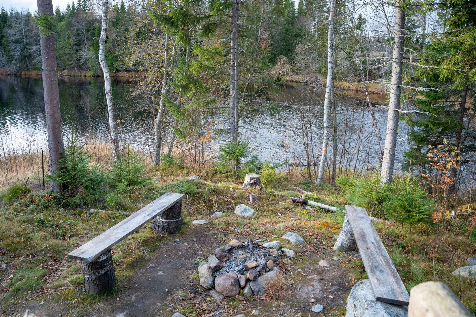 Gård/Skog, Örnsköldsvik Könsa 2:5, Örnsköldsvik