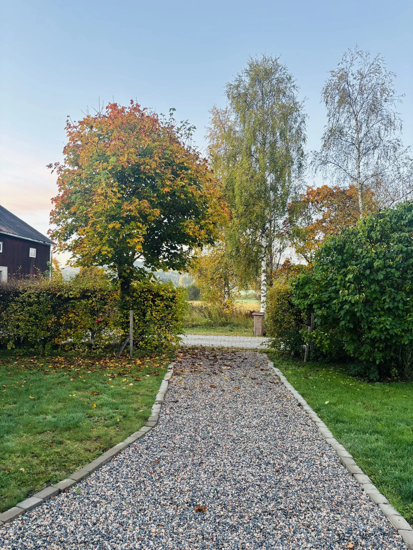 Gård/Skog, Vade 250, Bergsjö-Vade, Nordanstig