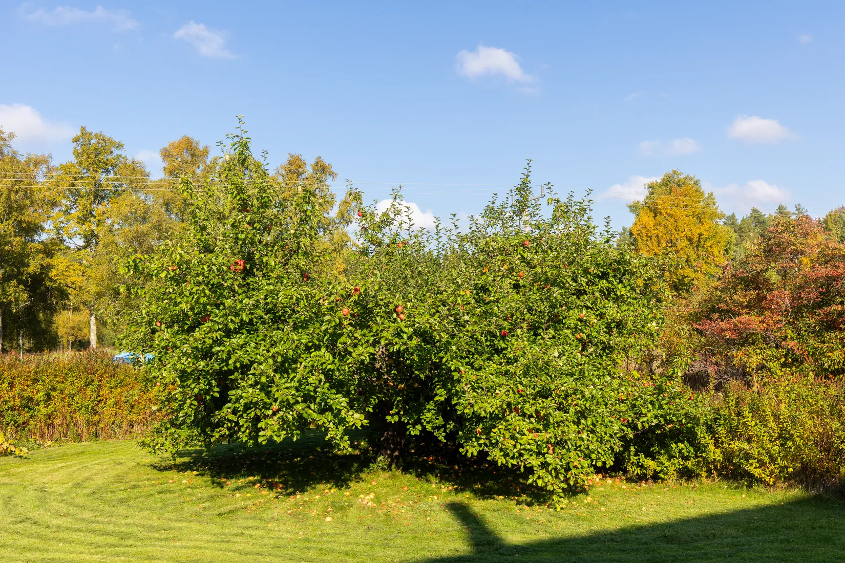 Villa, Emanuels väg 5, Vedevåg, Lindesberg