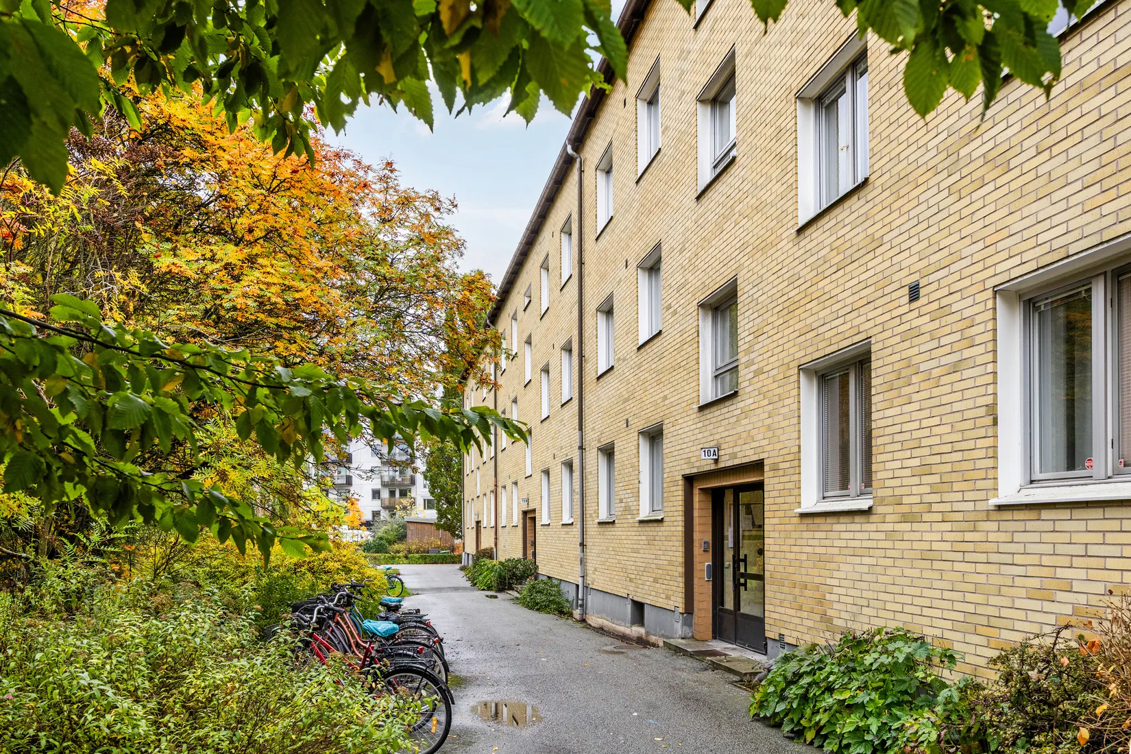 Bostadsrätt, Måsvägen 10A, Väster, Lund