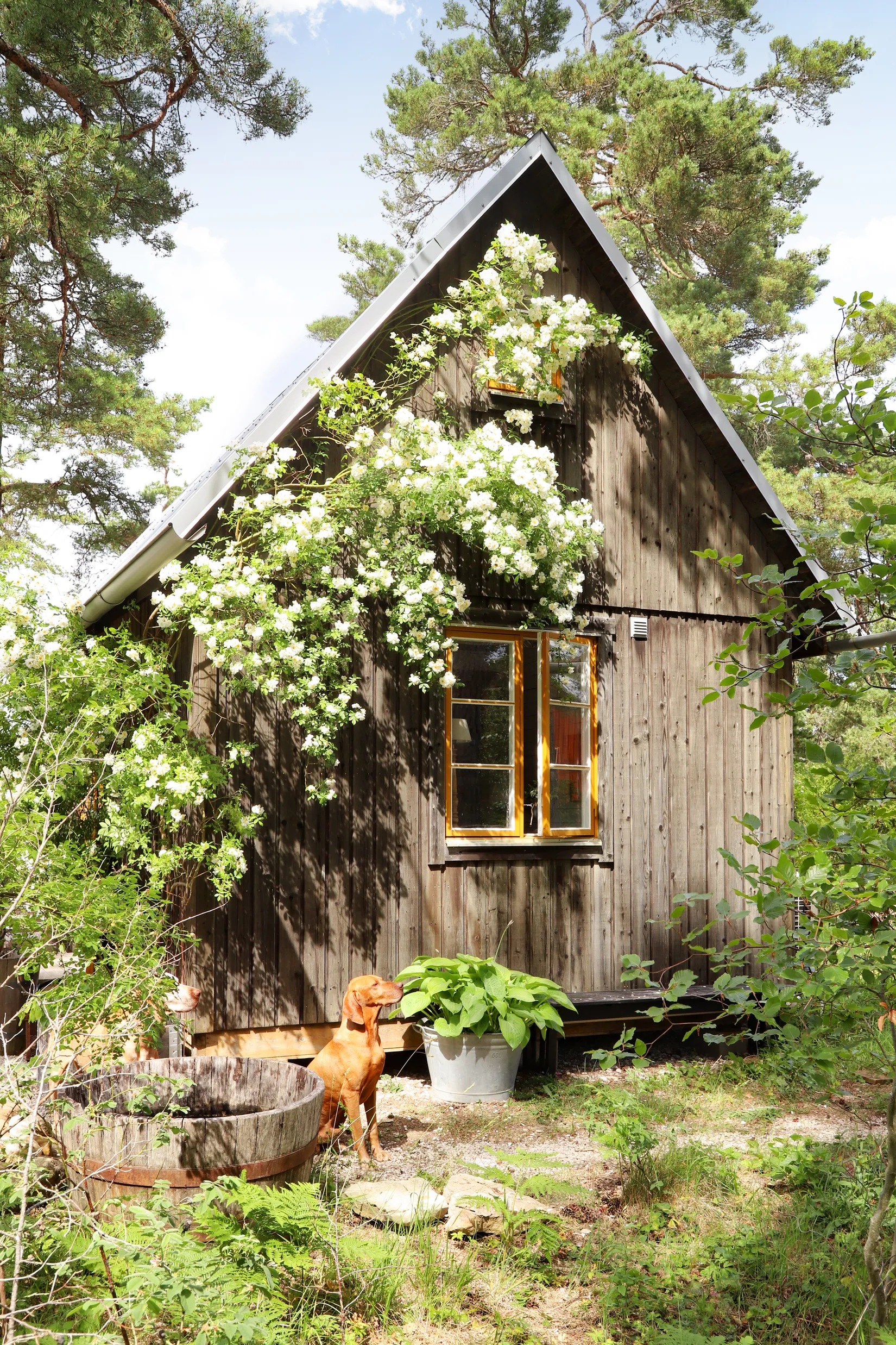 Villa, Hangvar Austers 450, Norra Gotland, Gotland