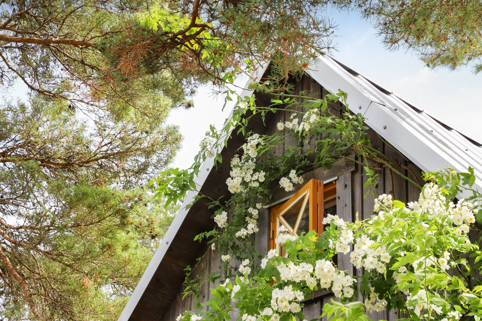 Villa, Hangvar Austers 450, Norra Gotland, Gotland