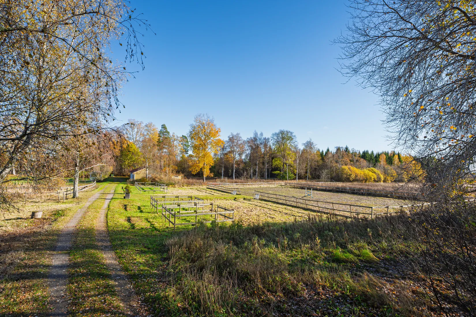 Gård/Skog, Aspnäs 521, Källviks Gård, Östervåla, Heby