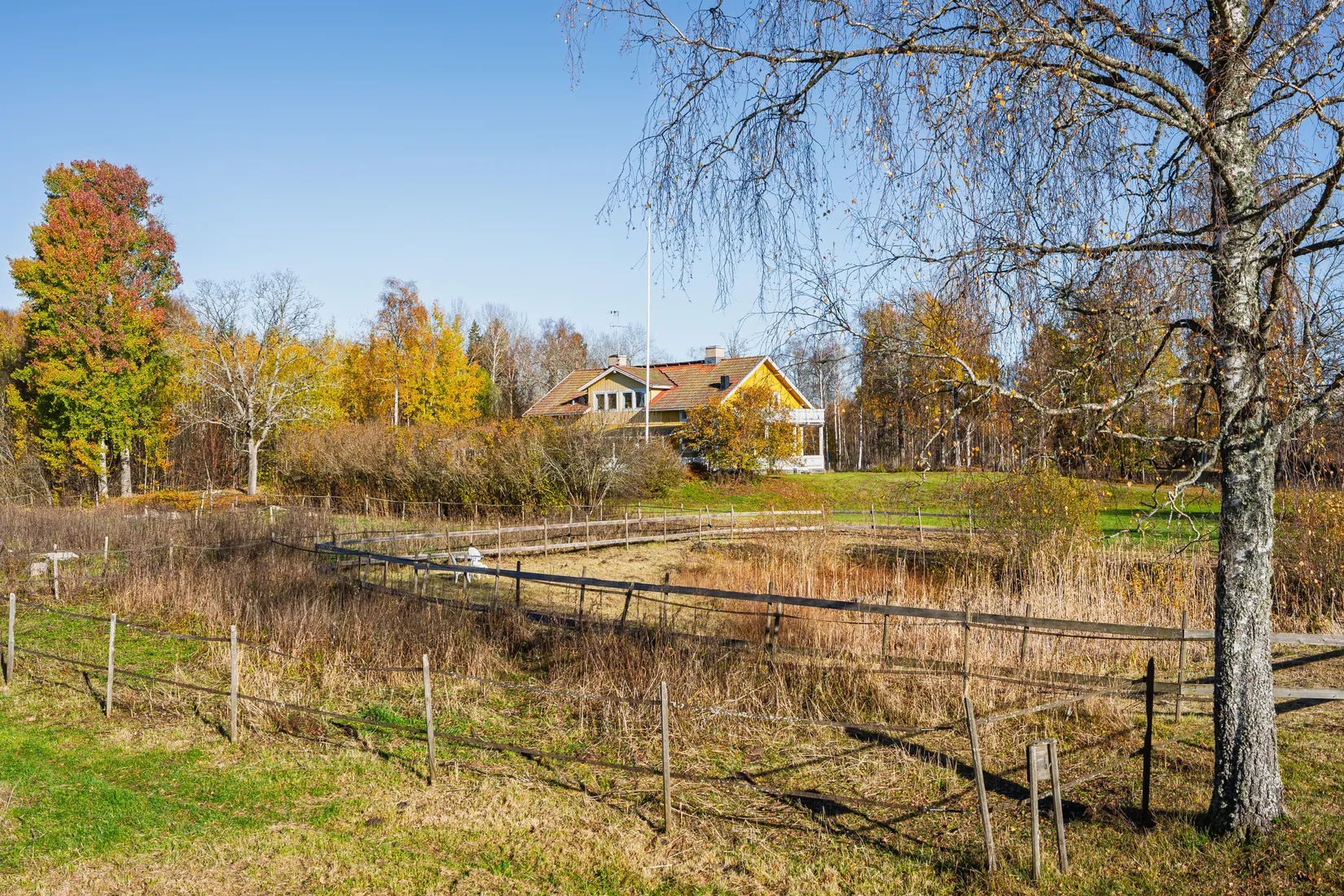 Gård/Skog, Aspnäs 521, Källviks Gård, Östervåla, Heby