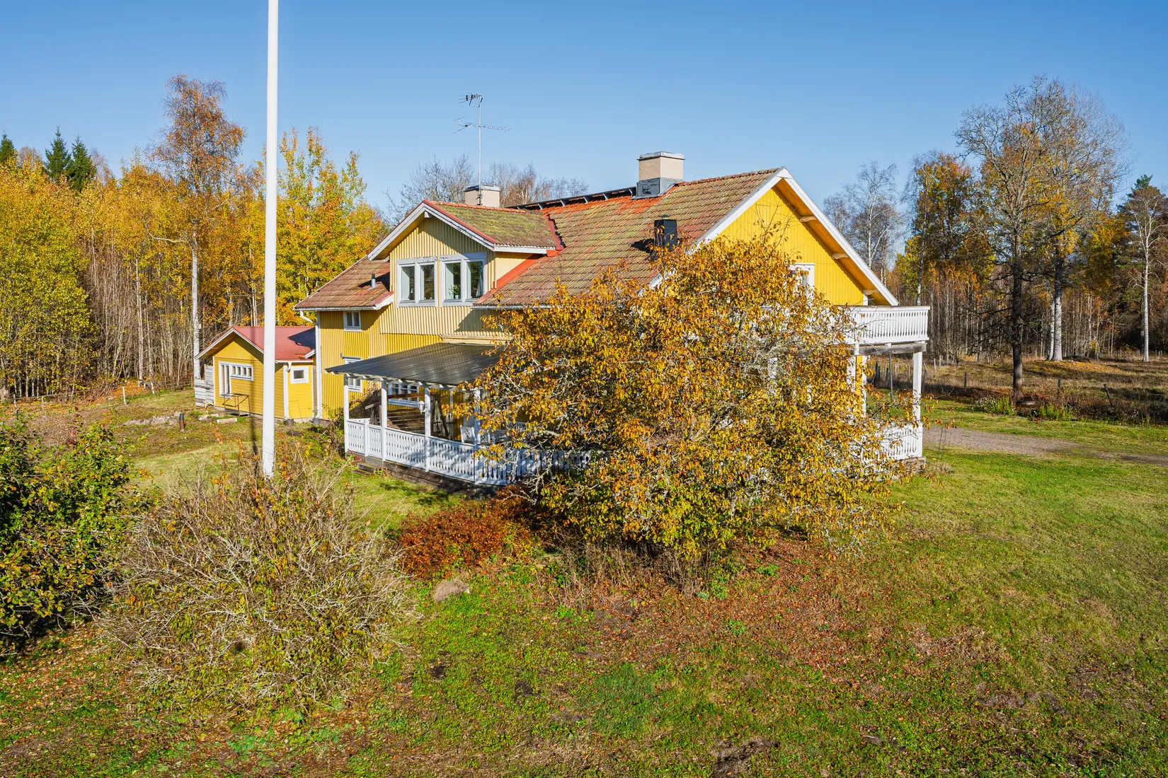 Gård/Skog, Aspnäs 521, Källviks Gård, Östervåla, Heby