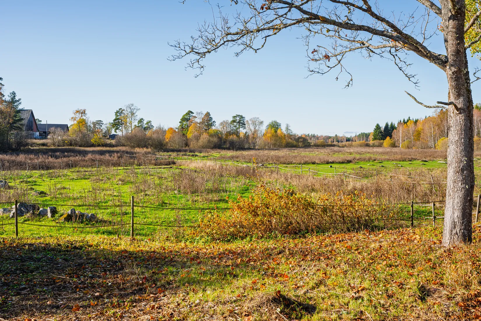Gård/Skog, Aspnäs 521, Källviks Gård, Östervåla, Heby