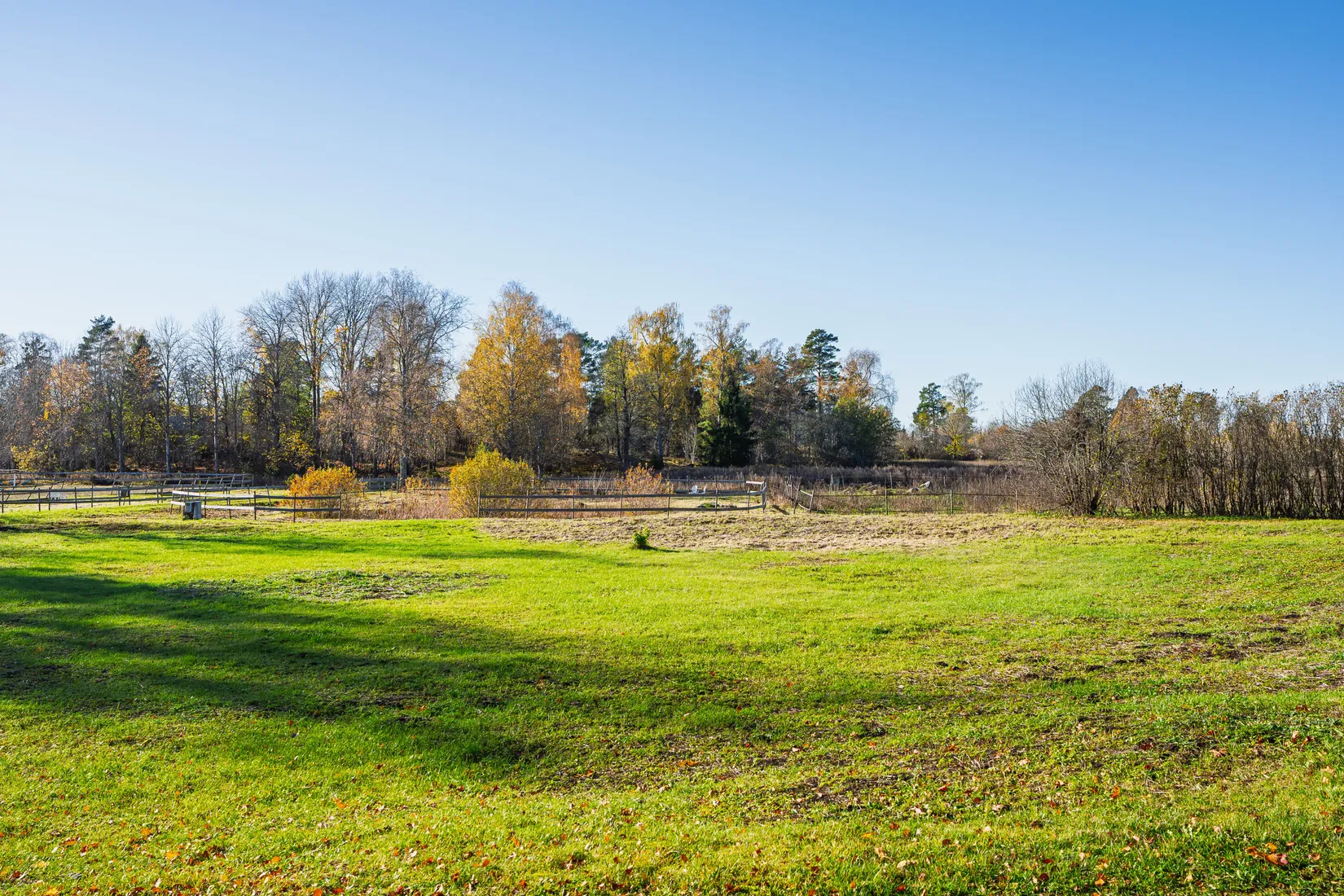 Gård/Skog, Aspnäs 521, Källviks Gård, Östervåla, Heby