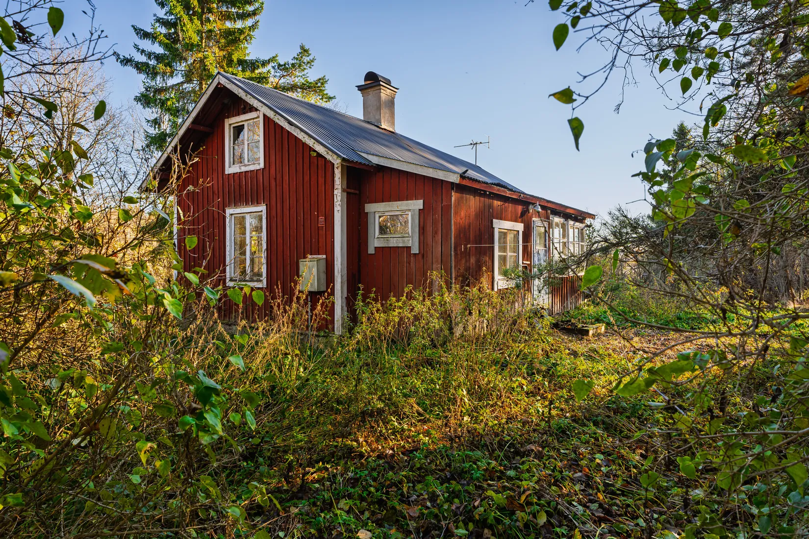 Gård/Skog, Aspnäs 521, Källviks Gård, Östervåla, Heby