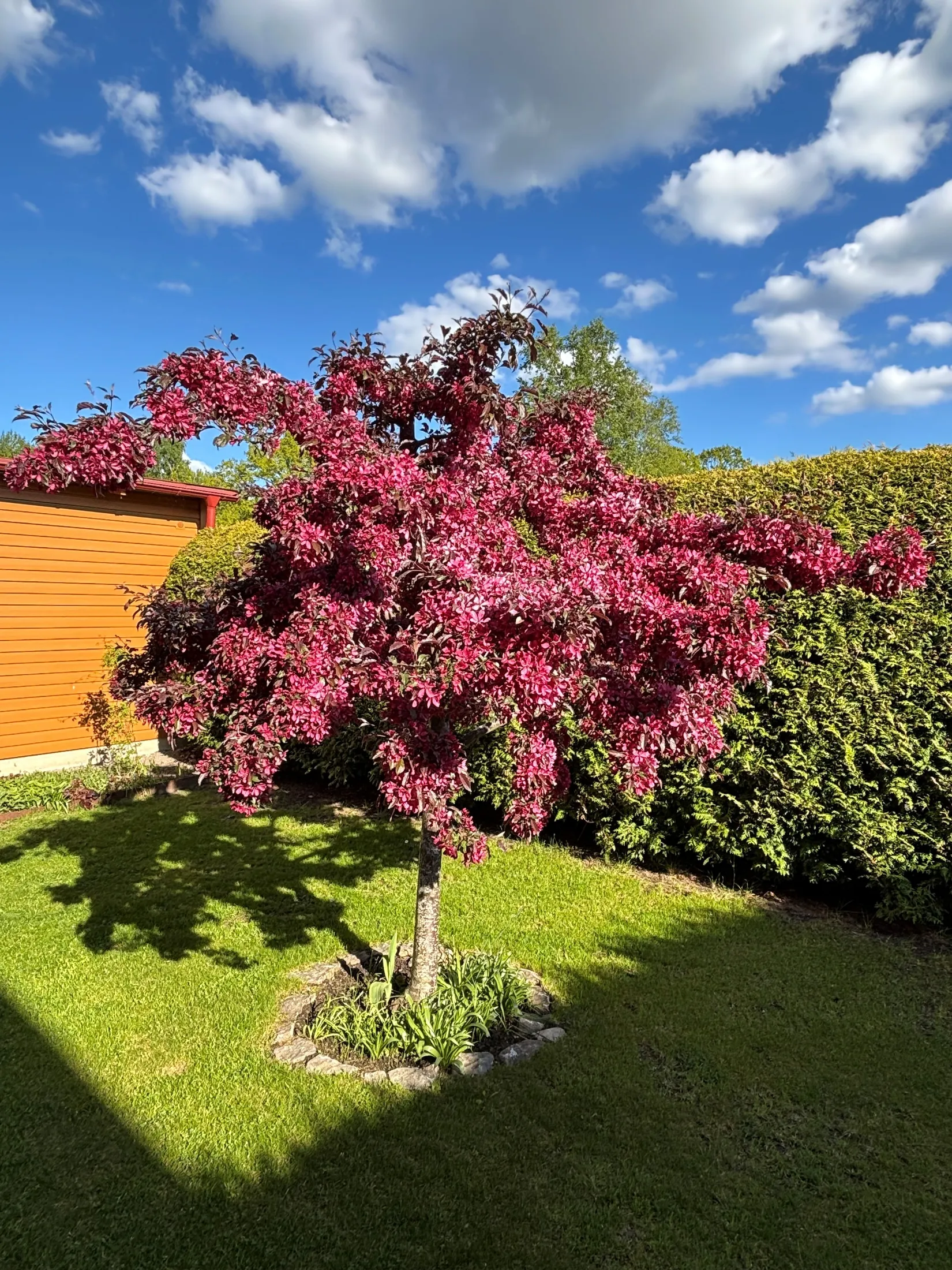 Radhus, Trähusgränd 49, Åleryd, Linköping