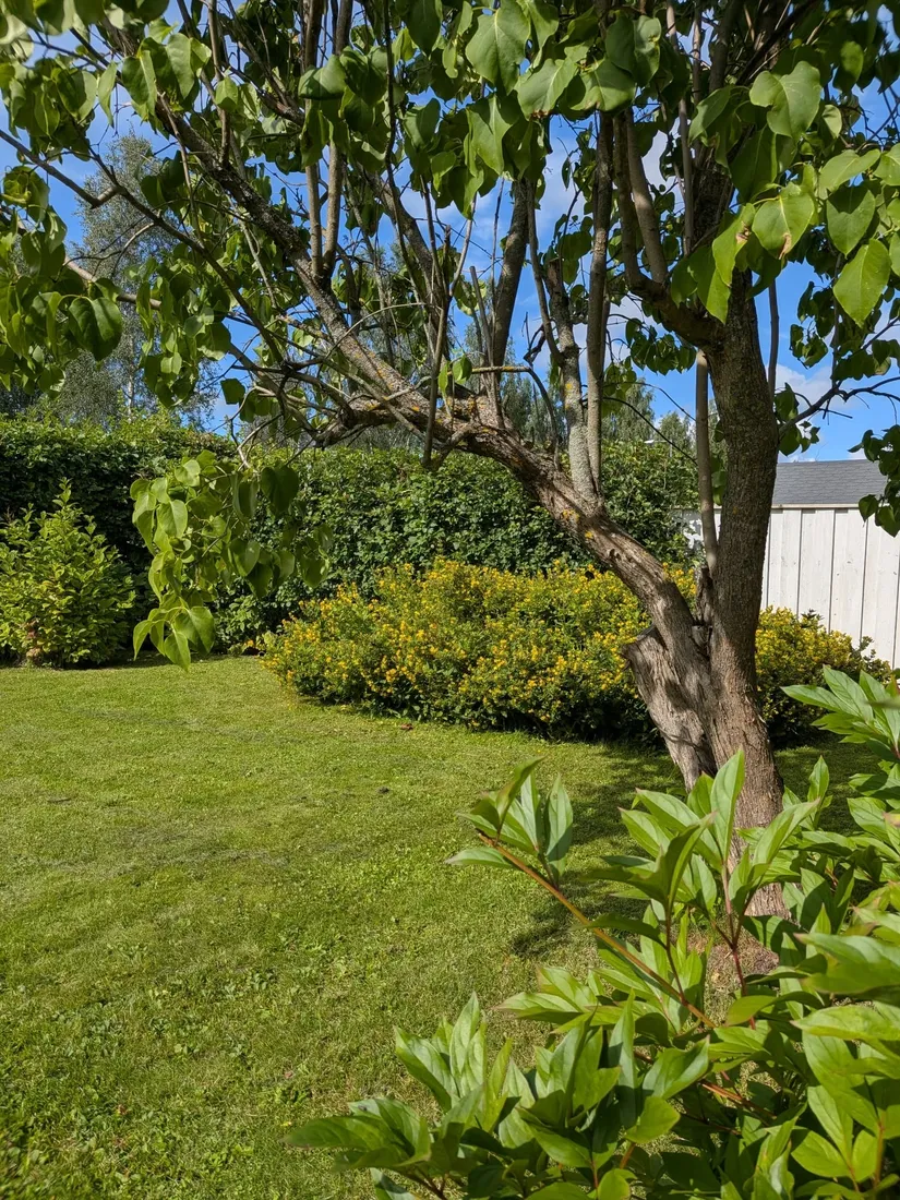 Radhus, Odonvägen 37, Böleäng, Umeå
