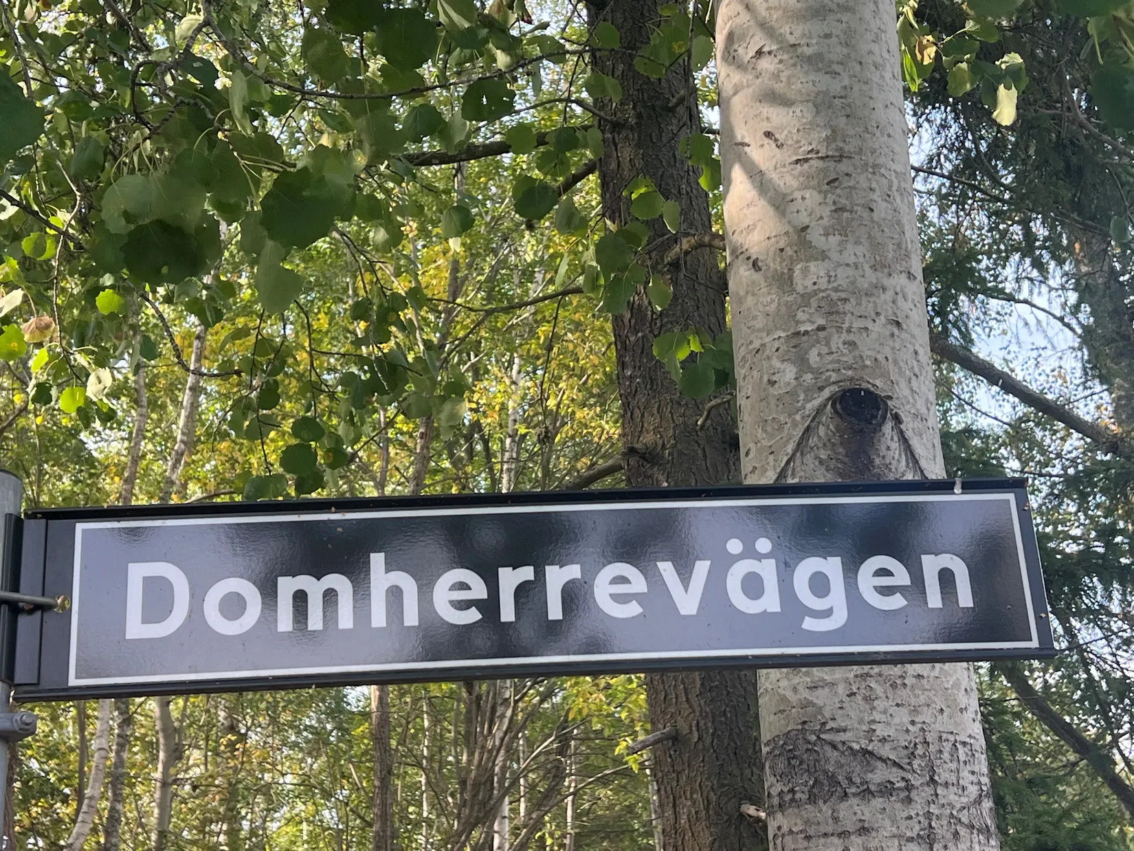 Radhus, Domherrevägen 4G, Ekerö Älvnäs, Ekerö