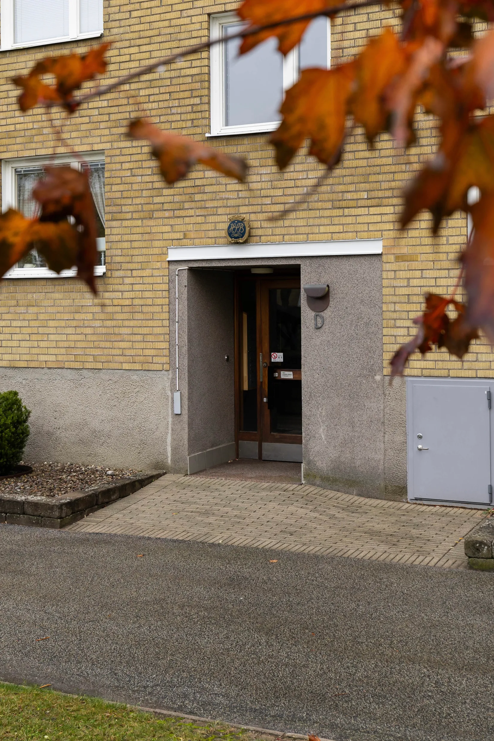 Bild 3 från Boneo