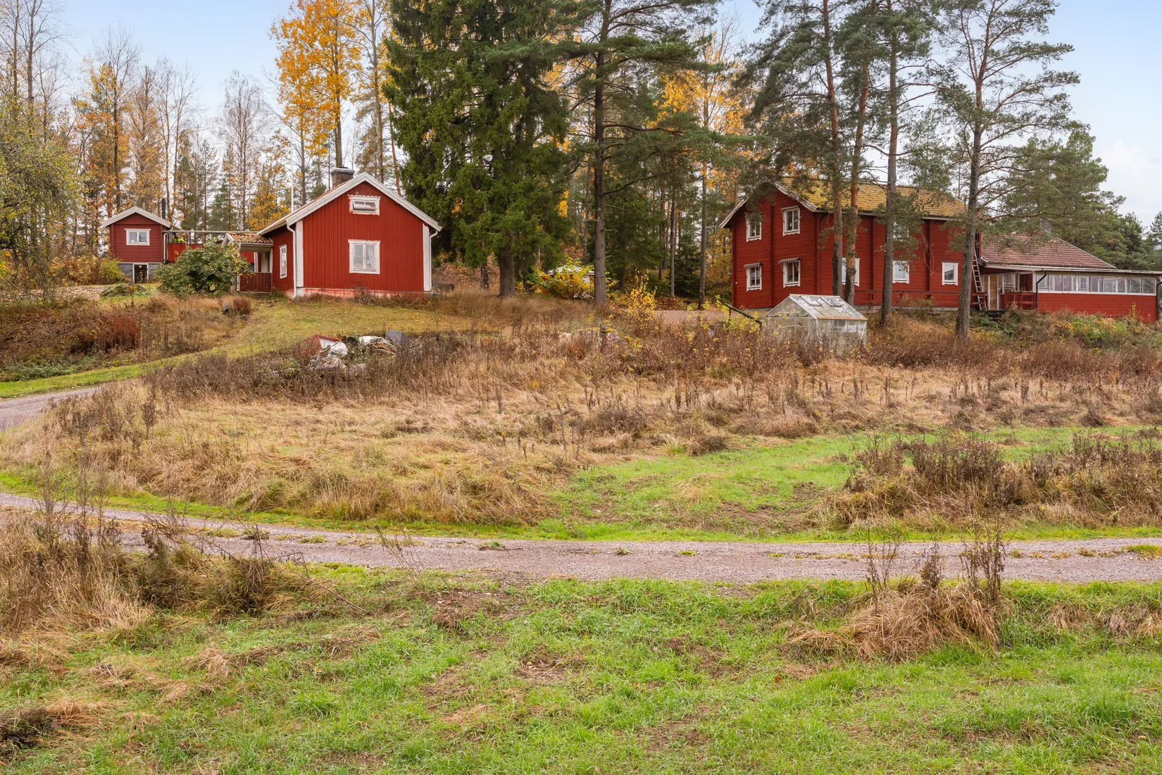 Bild 2 från Boneo