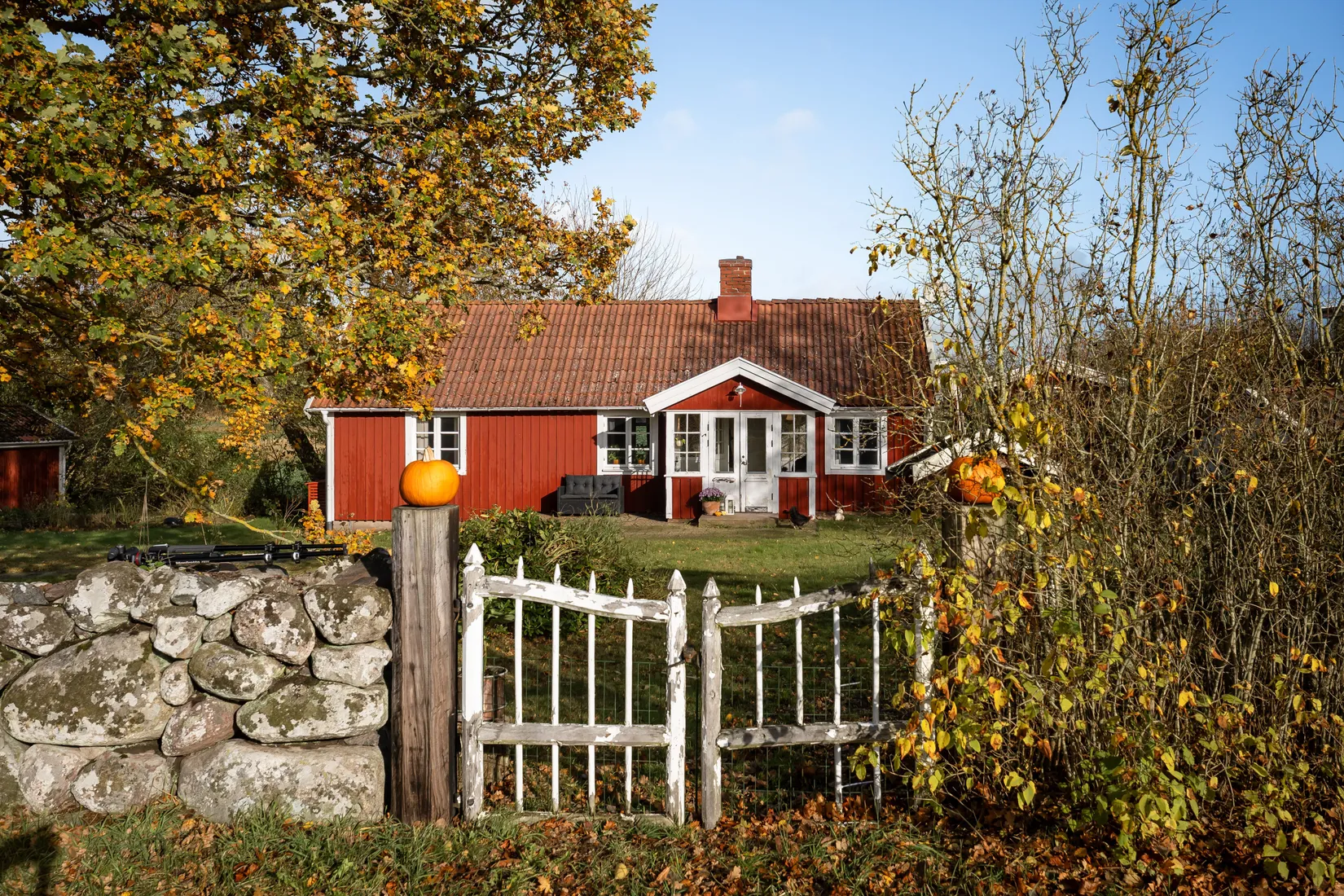 Bild 2 från Boneo