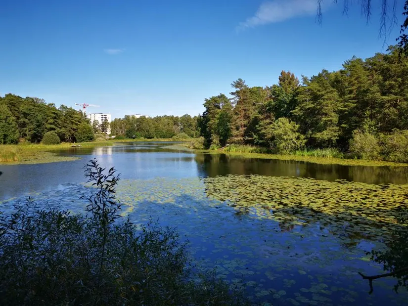 Bostadsrätt, Björketorpsvägen 11, Norra Ängby, Stockholm