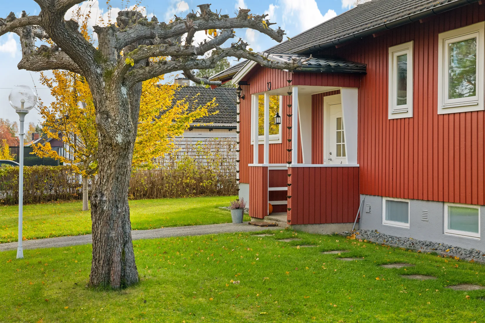 Bild 2 från Boneo