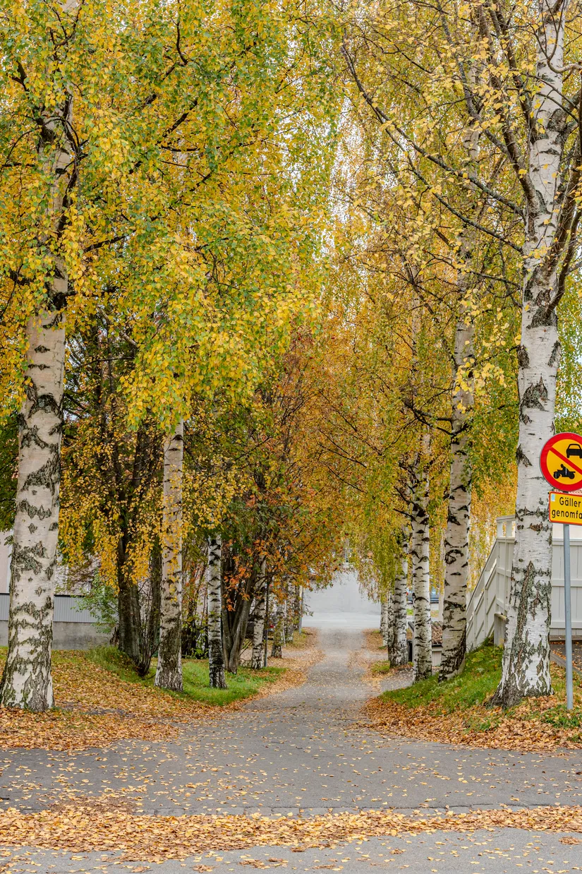 Bostadsrätt, Östra Nygatan 97B, Älvsbacka, Skellefteå