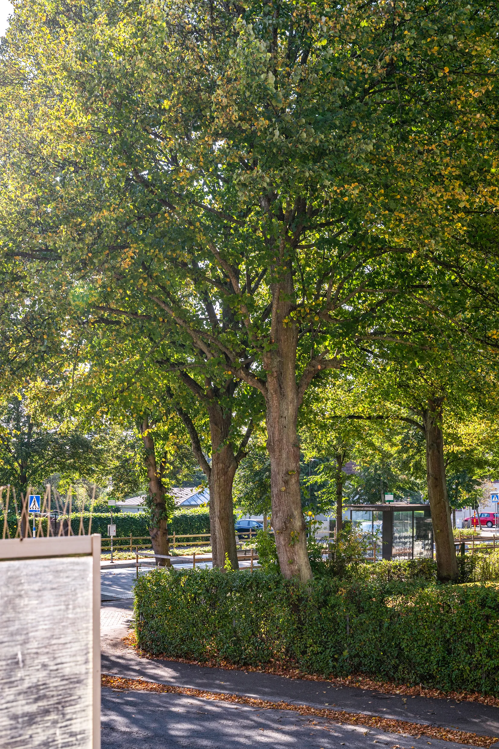 Bostadsrätt, Almvägen 15A, Parkstaden/Egna Hem, Kristianstad