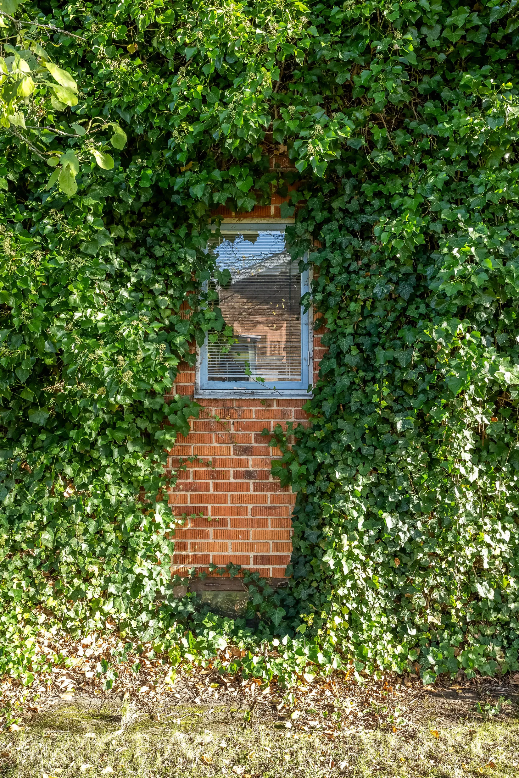 Villa, Lövbergsvägen 11, Ljunga, Norrköping