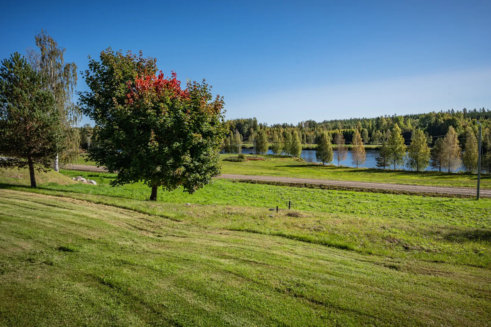 Gård/Skog, Västanå 179 och Västanå 178, Västanå, Örnsköldsvik