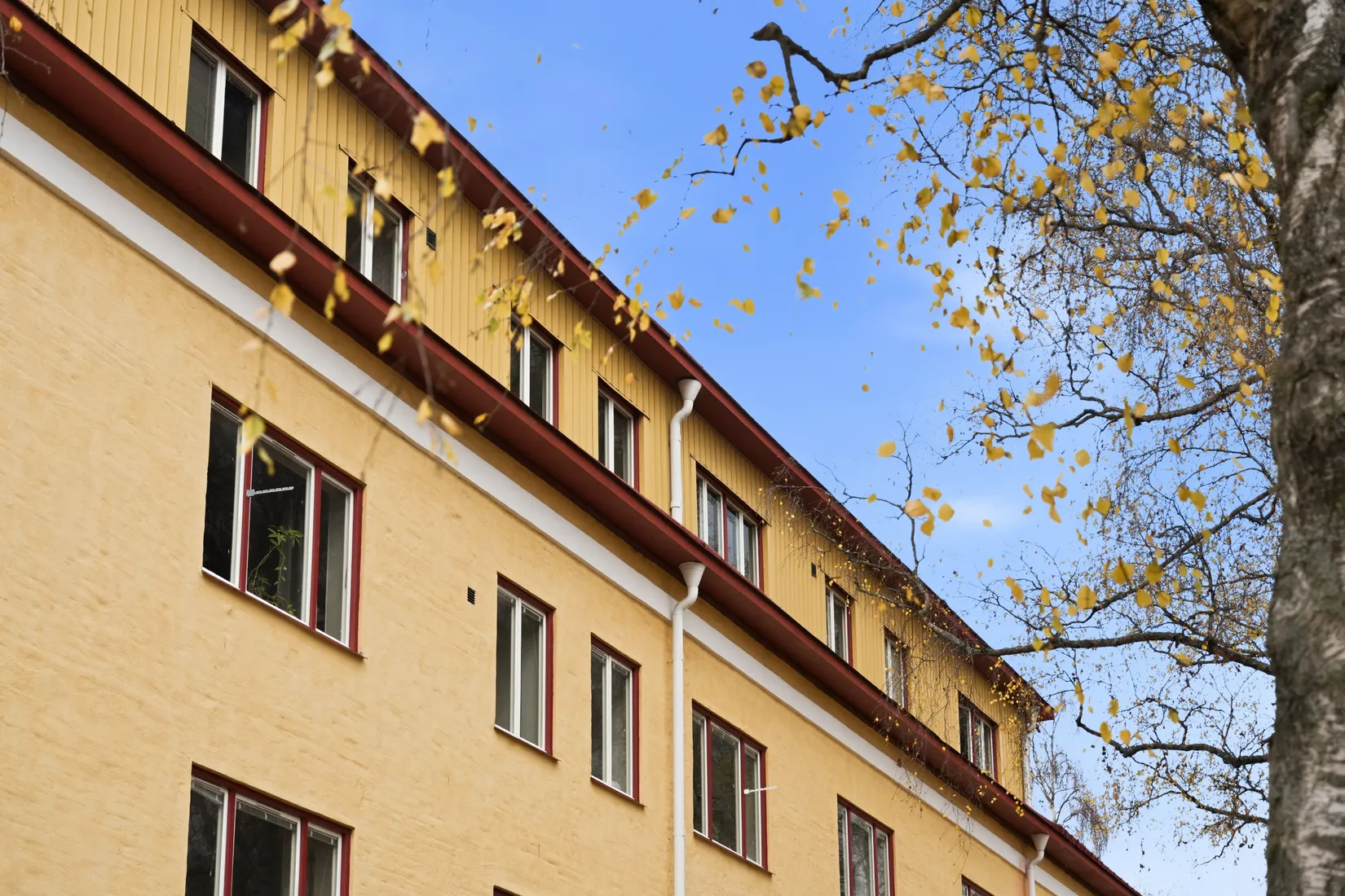 Bostadsrätt, Väderkvarnsgatan 8B, Höganäs, Uppsala