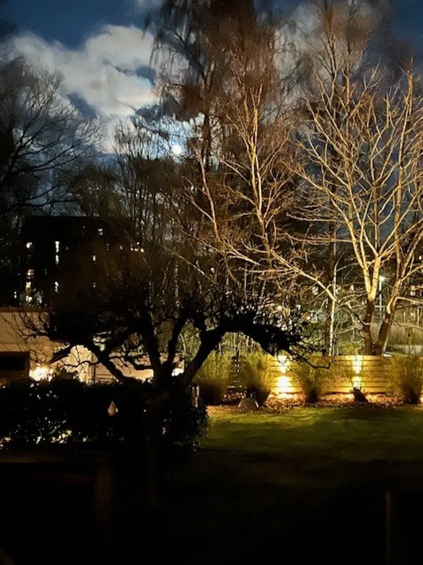 Villa, Neptunigatan 9, Söder, Halmstad