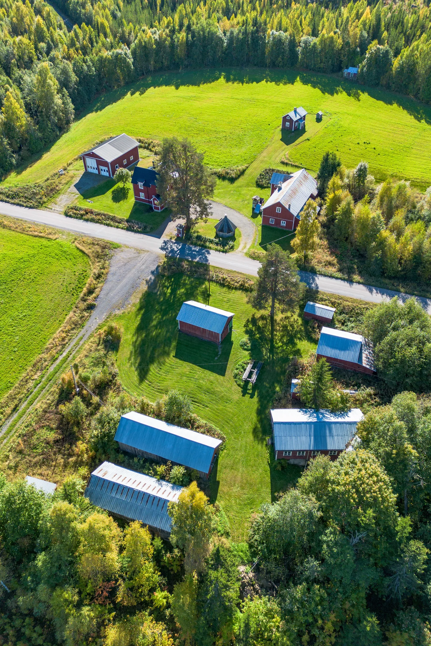 Gård/Skog, Holmsta 215, Sollefteå