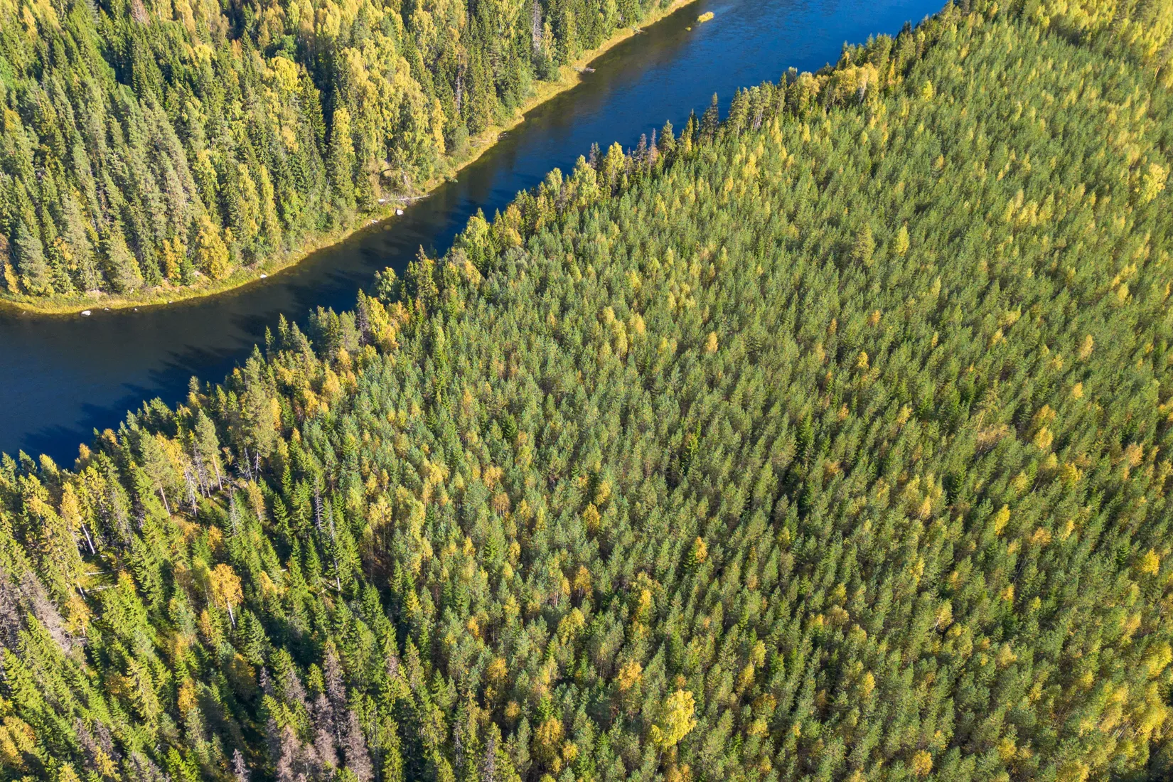 Gård/Skog, Holmsta 215, Sollefteå