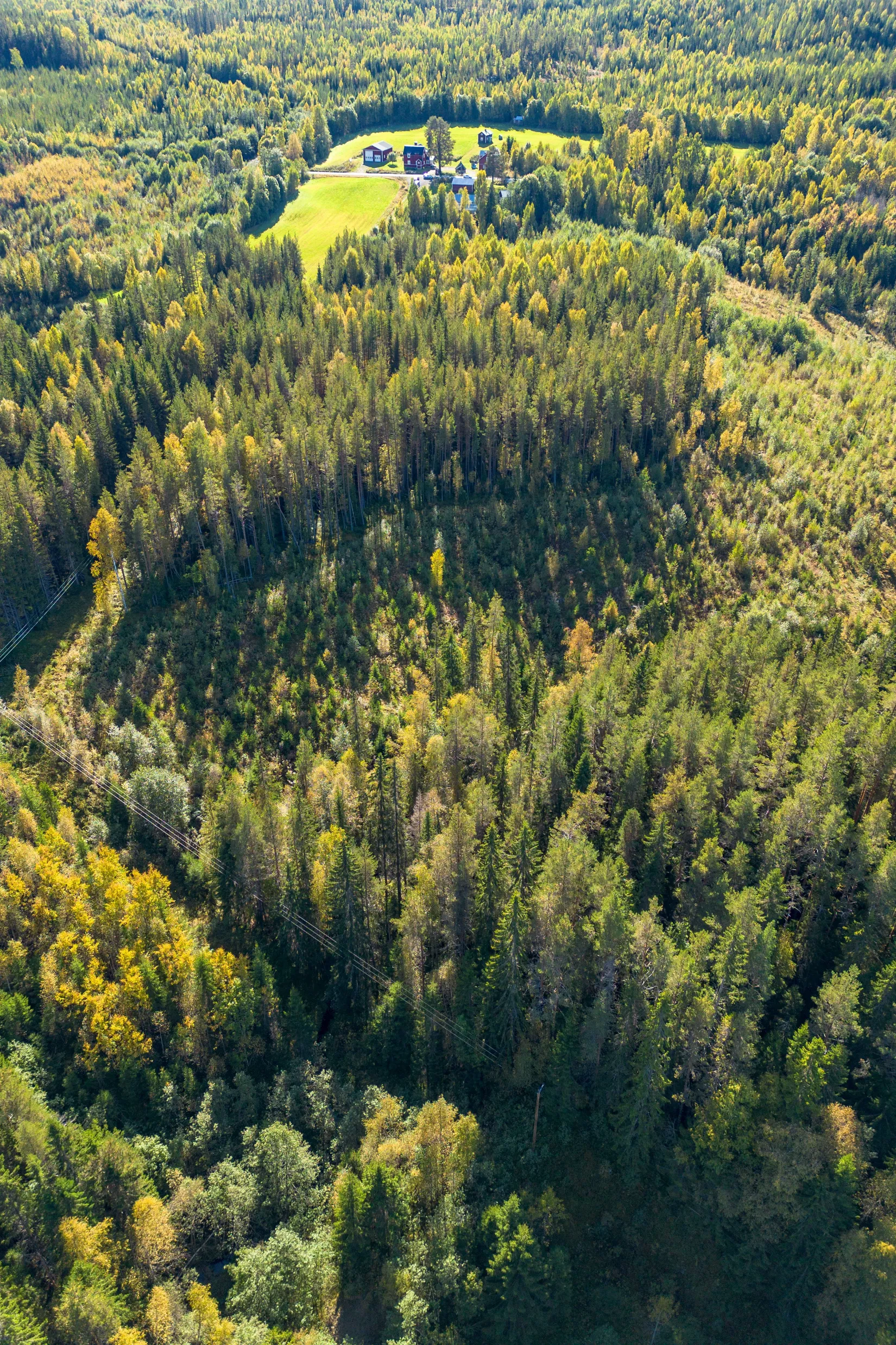 Gård/Skog, Holmsta 215, Sollefteå