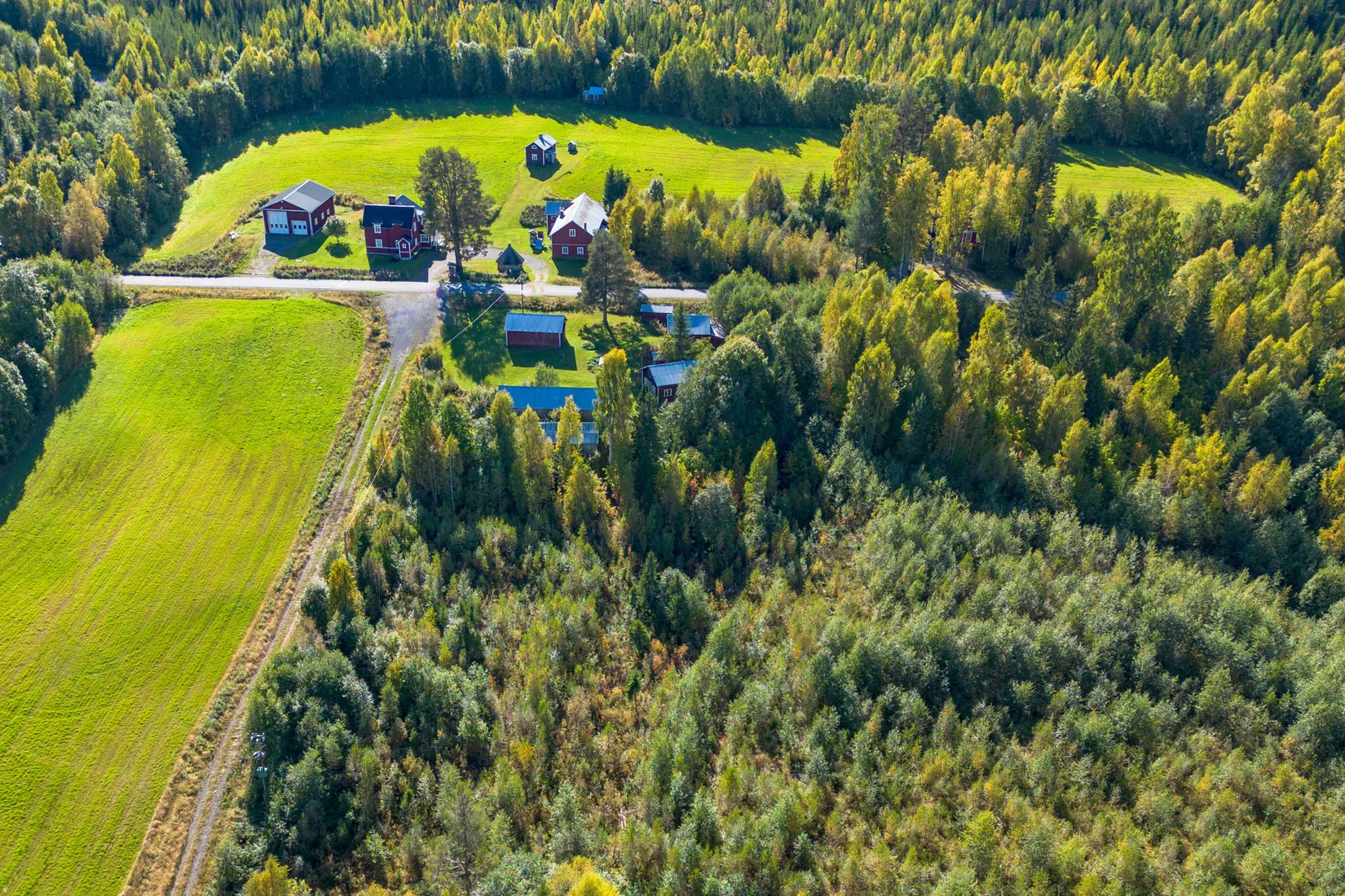 Gård/Skog, Holmsta 215, Sollefteå