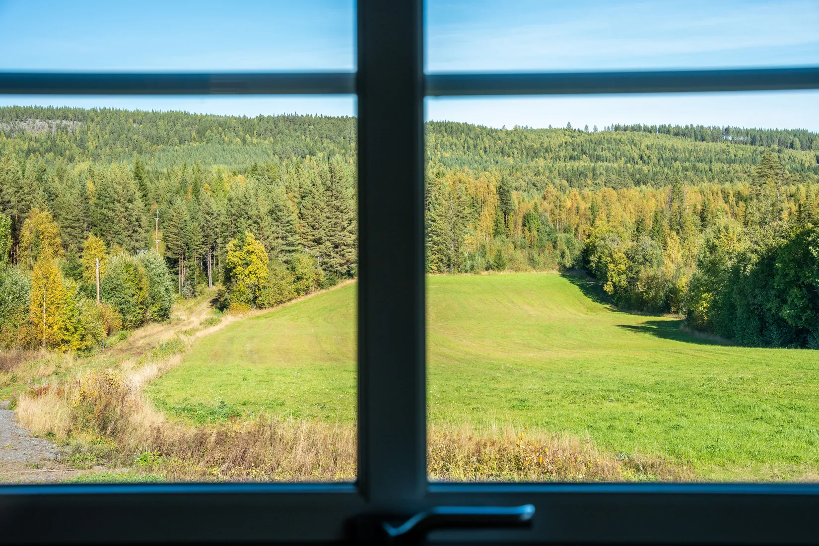 Gård/Skog, Holmsta 215, Sollefteå