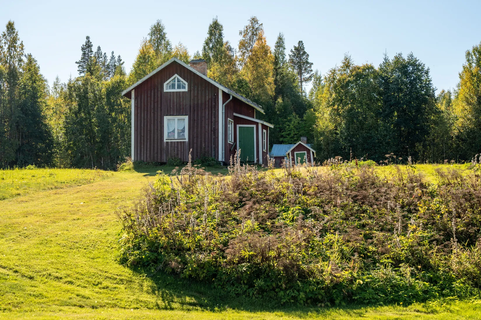 Gård/Skog, Holmsta 215, Sollefteå