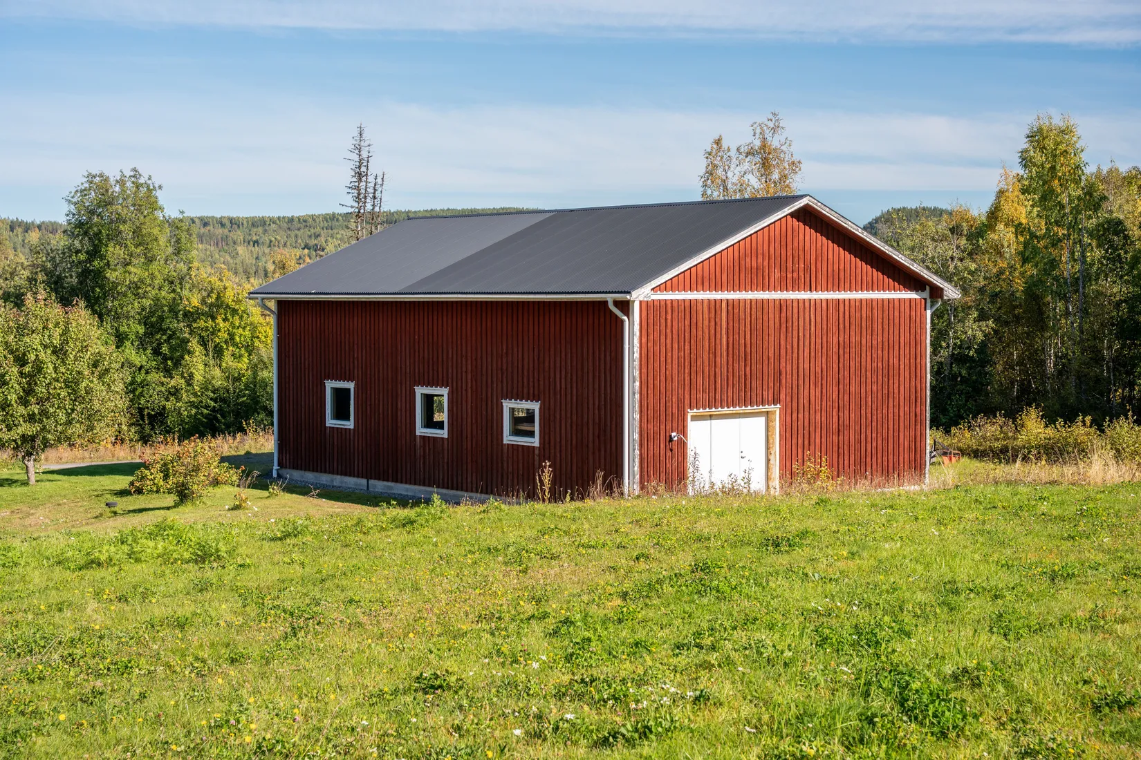 Gård/Skog, Holmsta 215, Sollefteå