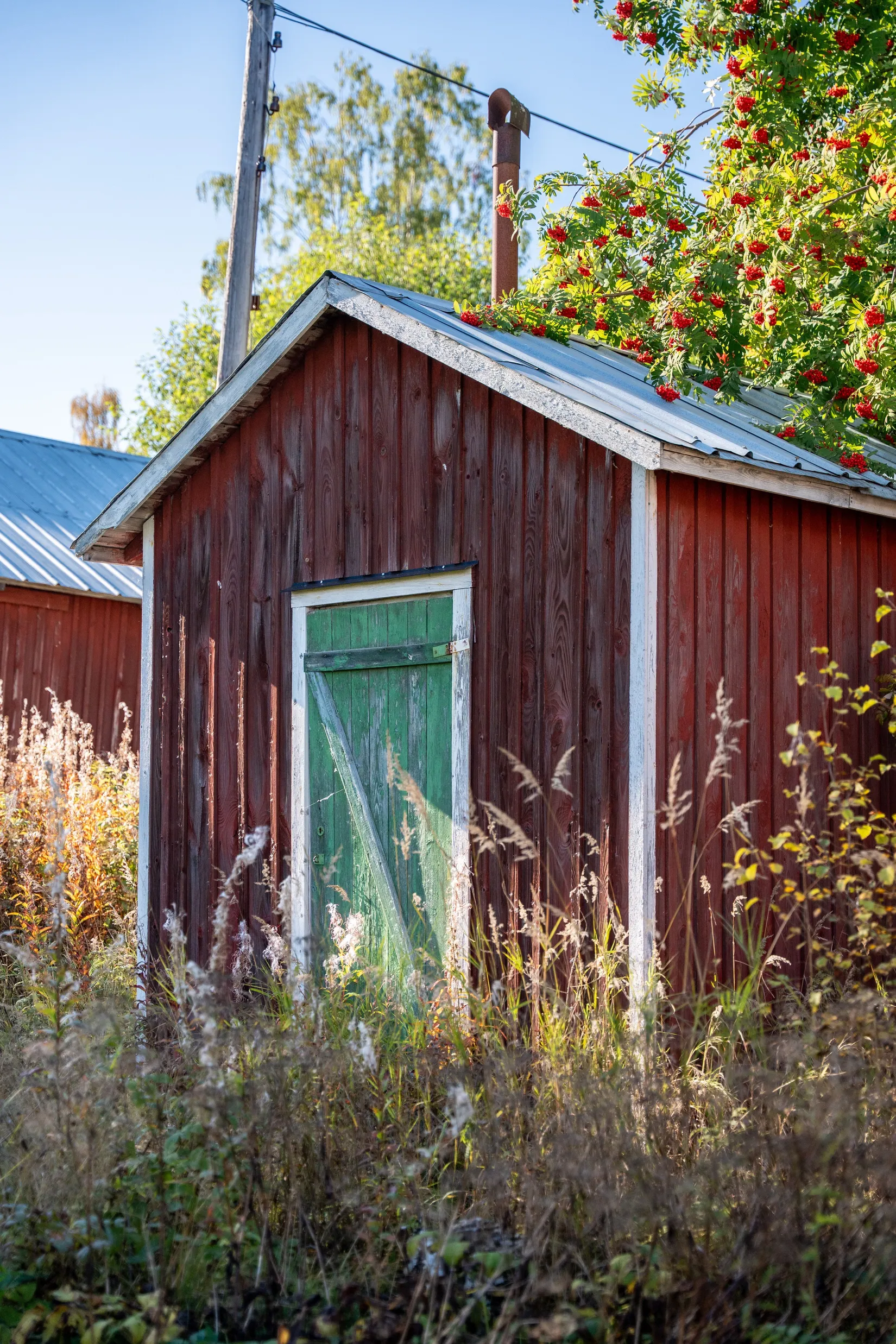 Gård/Skog, Holmsta 215, Sollefteå