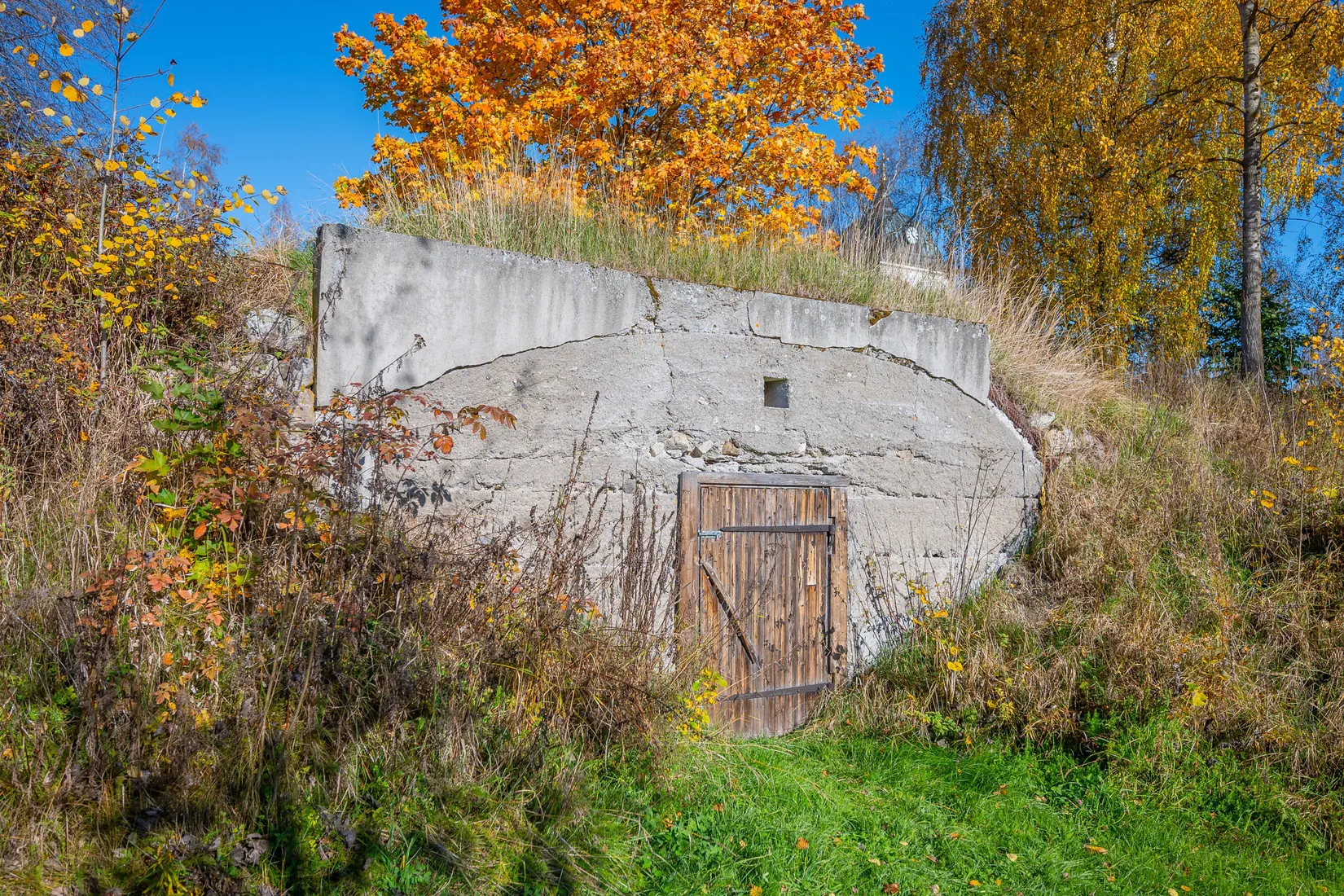 Gård/Skog, Kungsnäs 192, Sundsvall