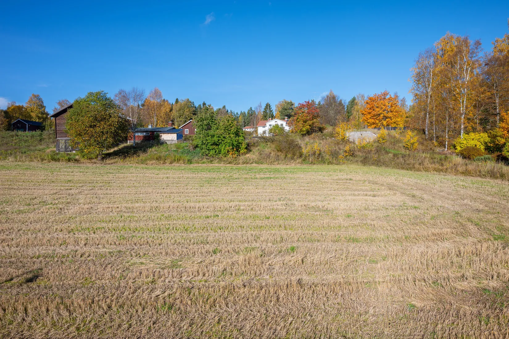 Gård/Skog, Kungsnäs 192, Sundsvall