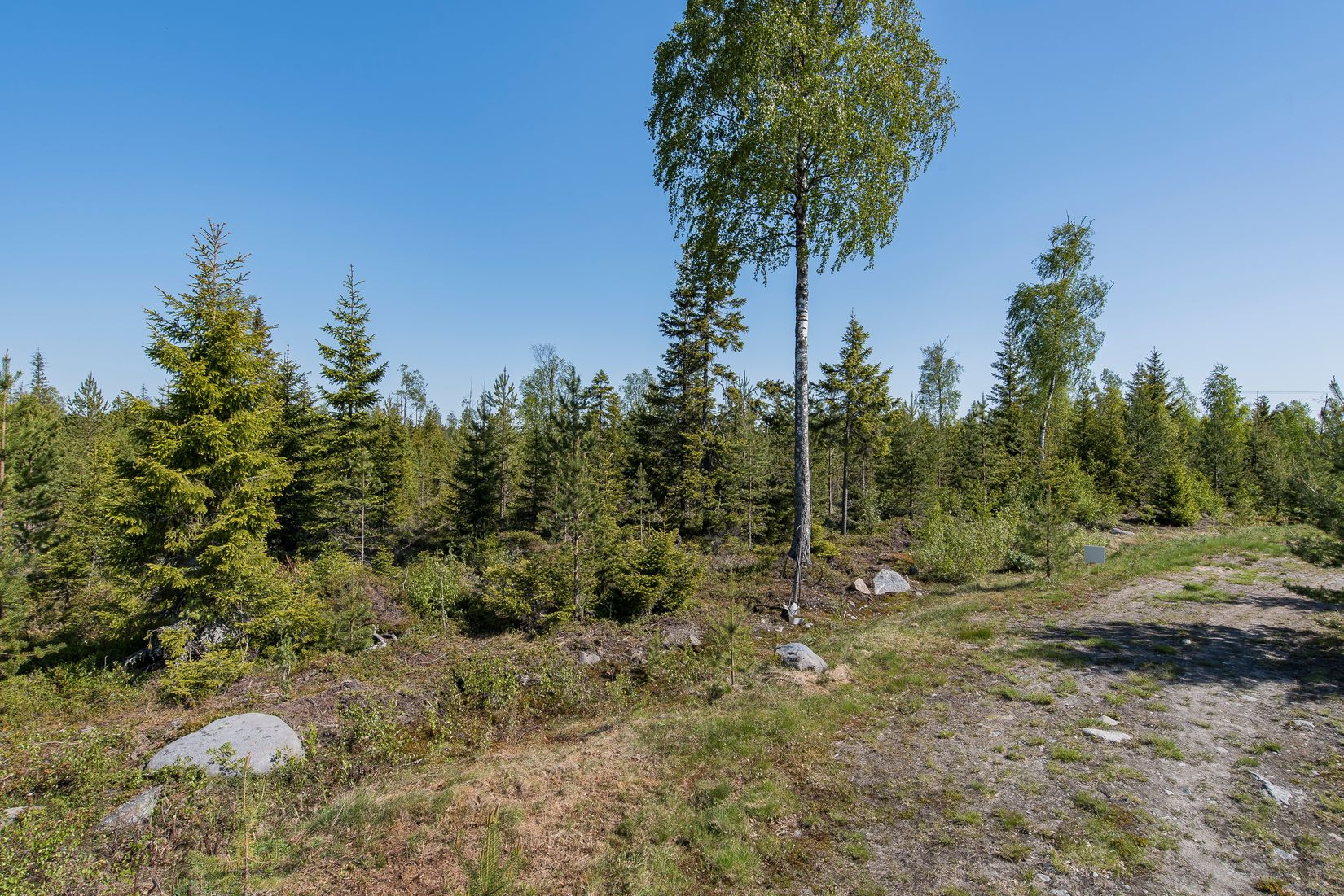 Tomt, Sillviken, Innertavle / Sillviken, Umeå