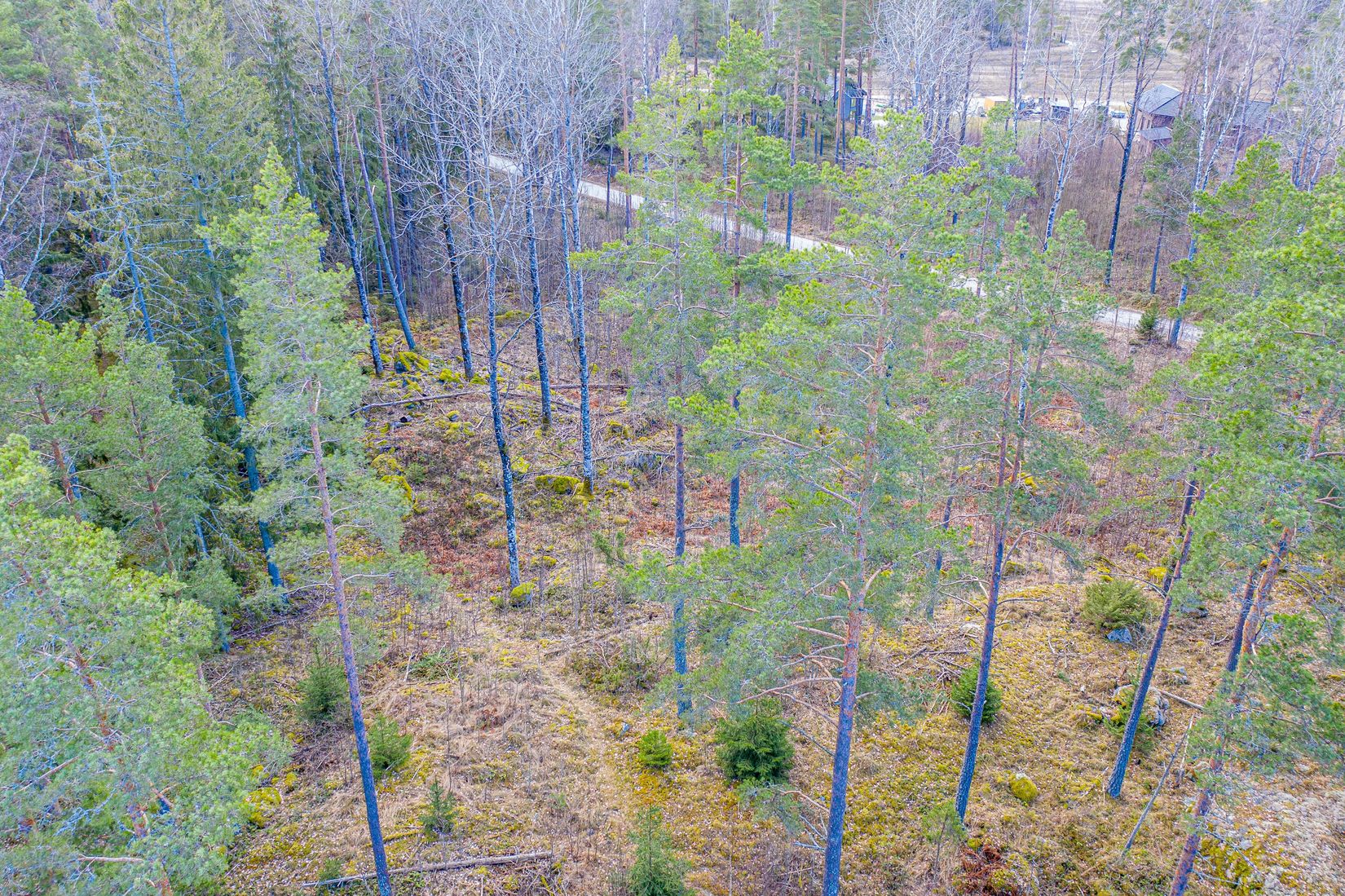 Tomt, Arboga Norra Skogen, Säbylund, Arboga