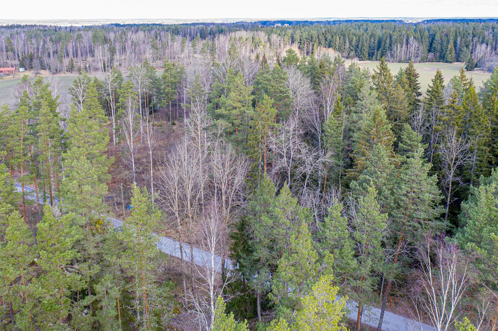 Tomt, Arboga Norra Skogen, Säbylund, Arboga