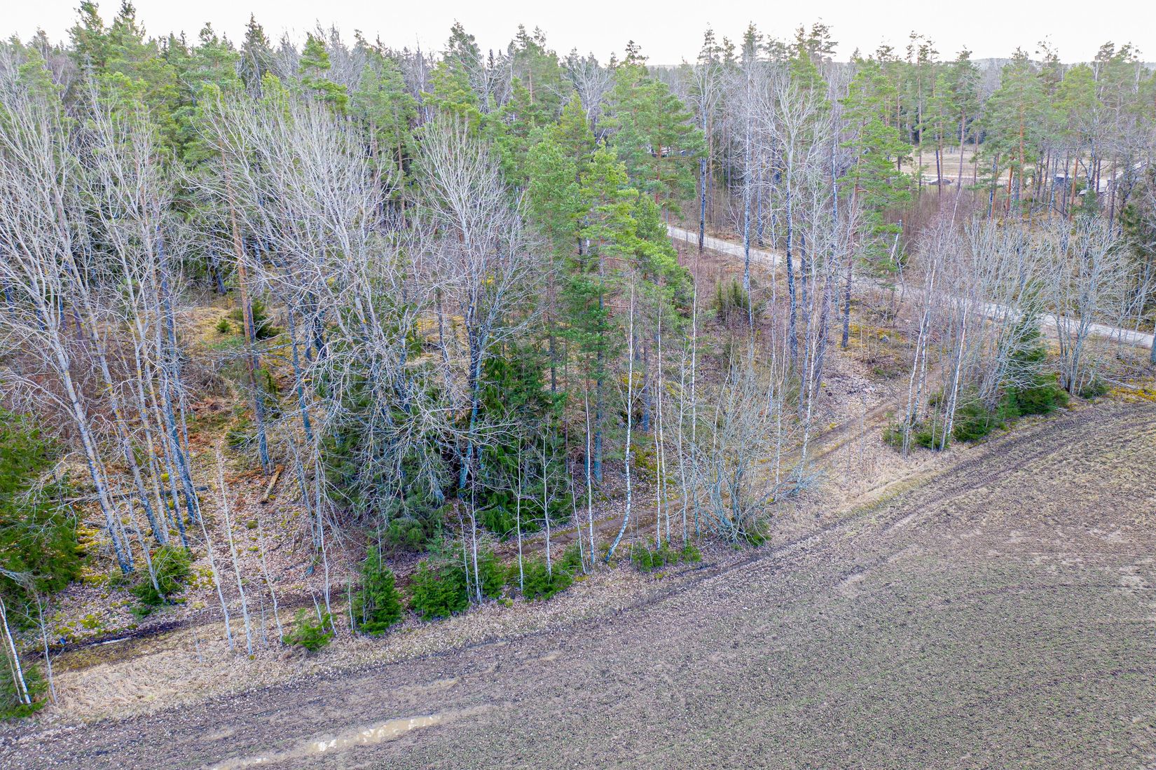 Tomt, Arboga Norra Skogen, Säbylund, Arboga