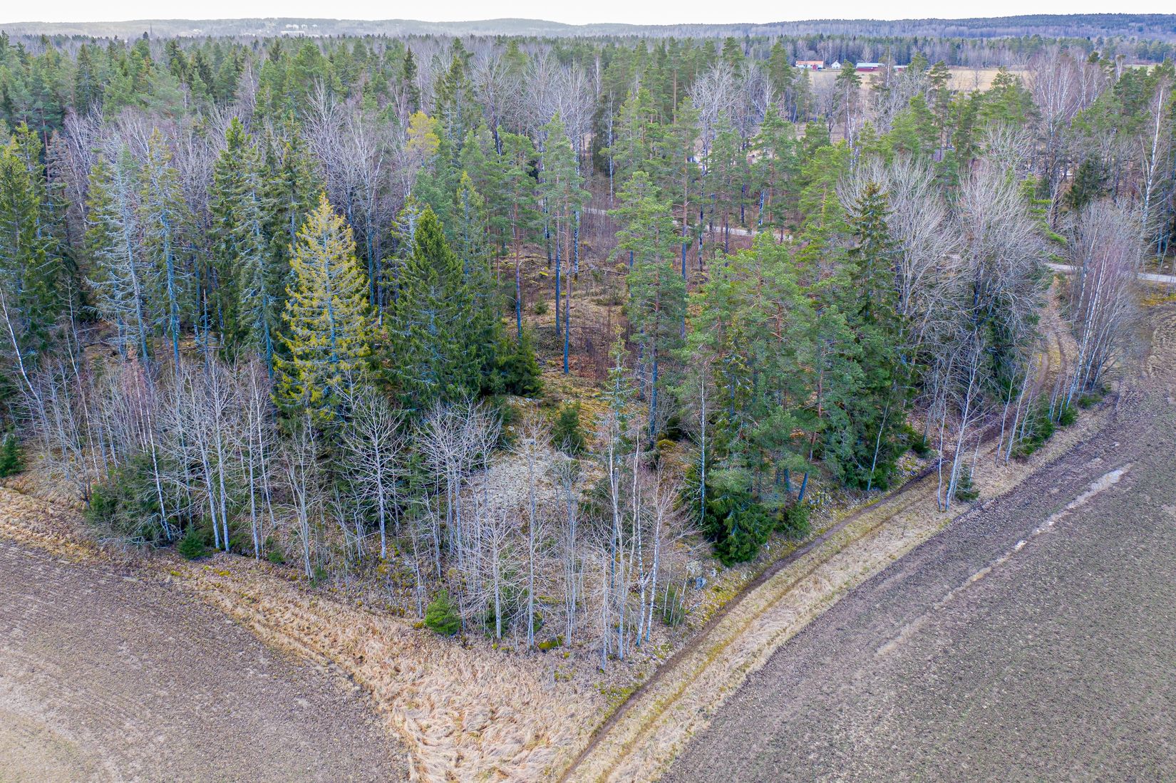 Tomt, Arboga Norra Skogen, Säbylund, Arboga