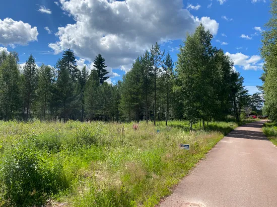 Tomt, Lundholmsvägen 1, Östermyckeläng, Älvdalen