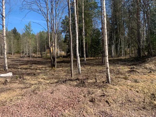 Tomt, Nybolsvägen 20, Östermyckeläng, Älvdalen