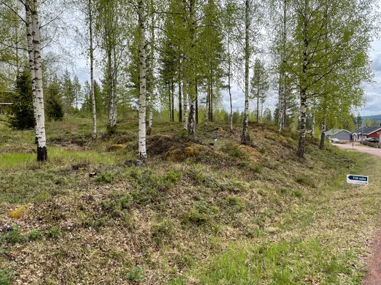 Tomt, Enstigen 8, Älvdalen
