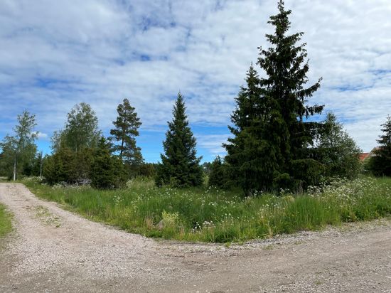 Tomt, Katrineberg 54, Börje, Uppsala