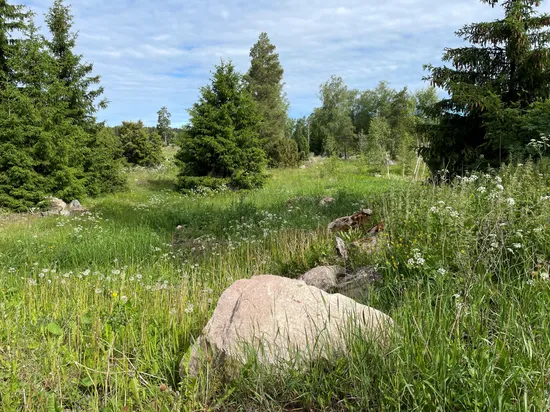 Tomt, Katrineberg 54, Börje, Uppsala