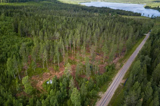 Tomt, Grönvallsvägen 54, Järvsö, Harsa, Ljusdal