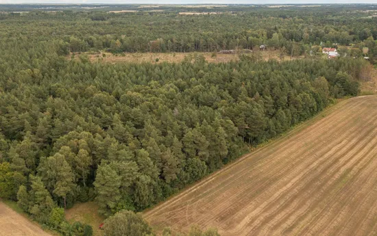 Tomt, Burs Ganne 1:32, Gotland